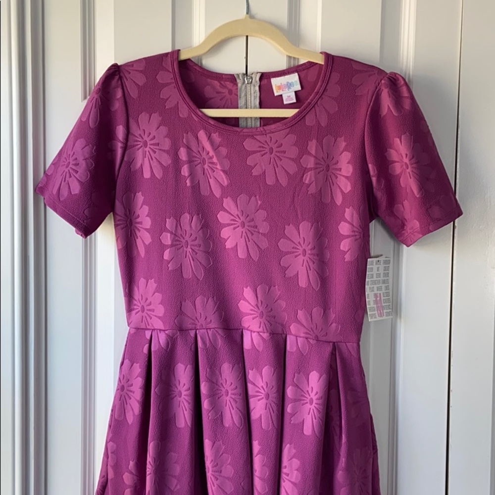 NWT LuLaRoe Amelia Dress